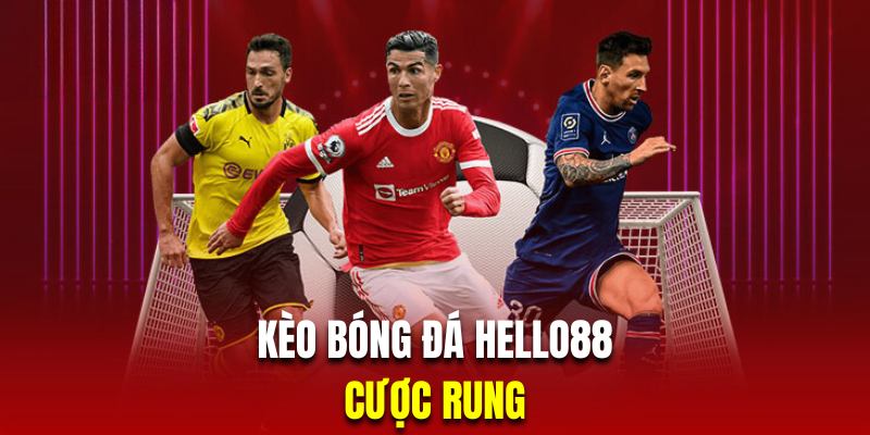 Kèo bóng đá Hello88 cược rung