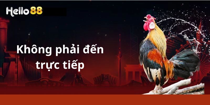 Không phải đến trực tiếp