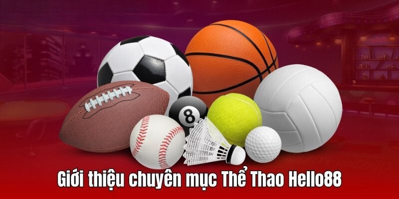 Thể thao Hello88 đã trở thành điểm đến lý tưởng